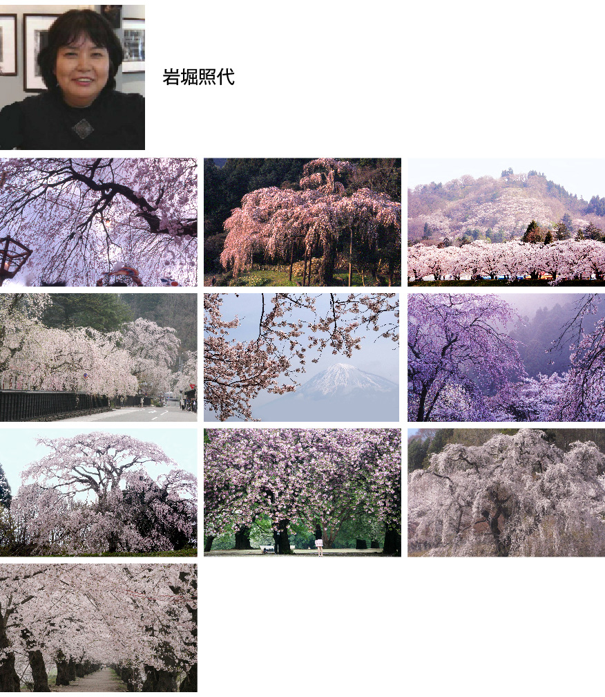 Display of Japanese Pictures