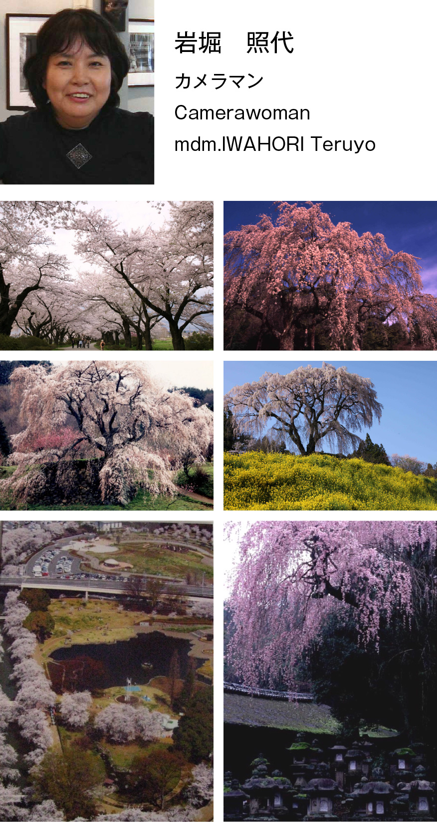 さくら写真展