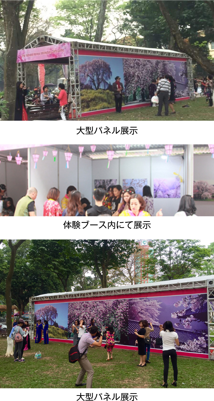 さくら写真展